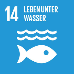 SDG 14: Ozeane, Meere und Meeresressourcen im Sinne nachhaltiger Entwicklung erhalten und nachhaltig nutzen