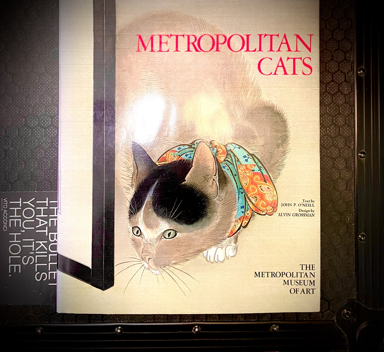 Metropolitan Cats