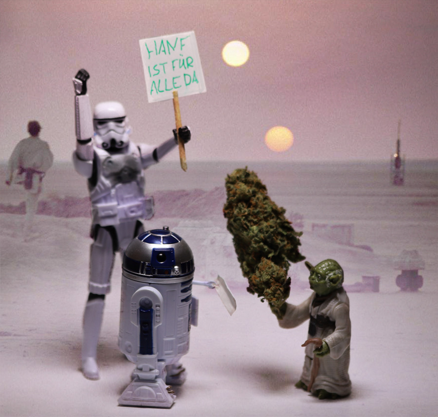 WEED WARS - PHOTO: Eric DER HAARFLÜSTERER