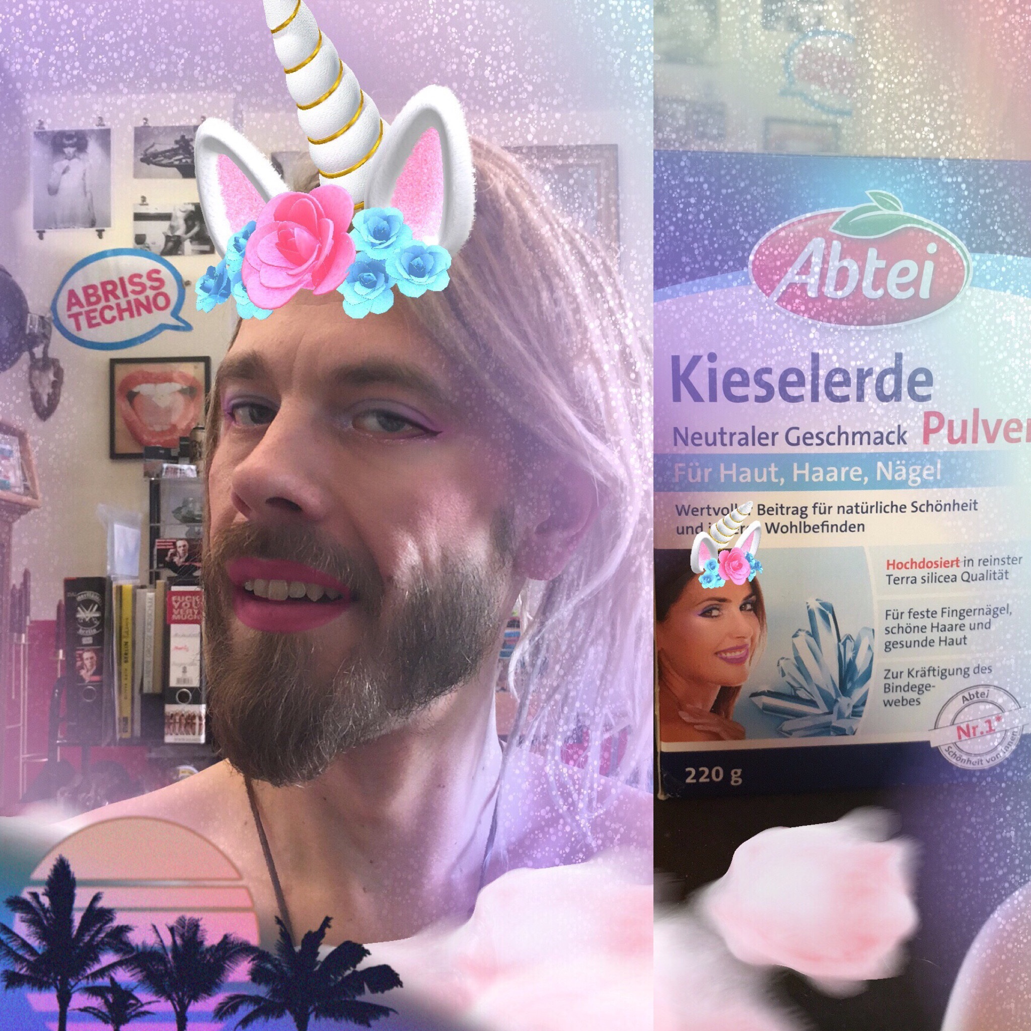 Kieselerde