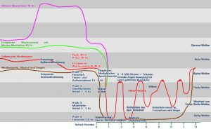 Hirnfrequenzen-Hirnwellen-Schlafphasen-rem-phasen