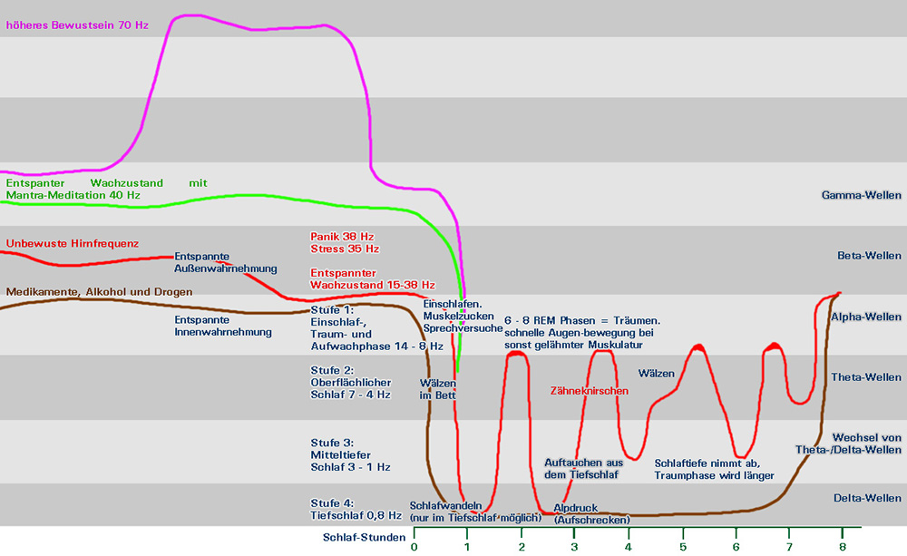 Hirnfrequenzen-Hirnwellen-Schlafphasen-rem-phasen