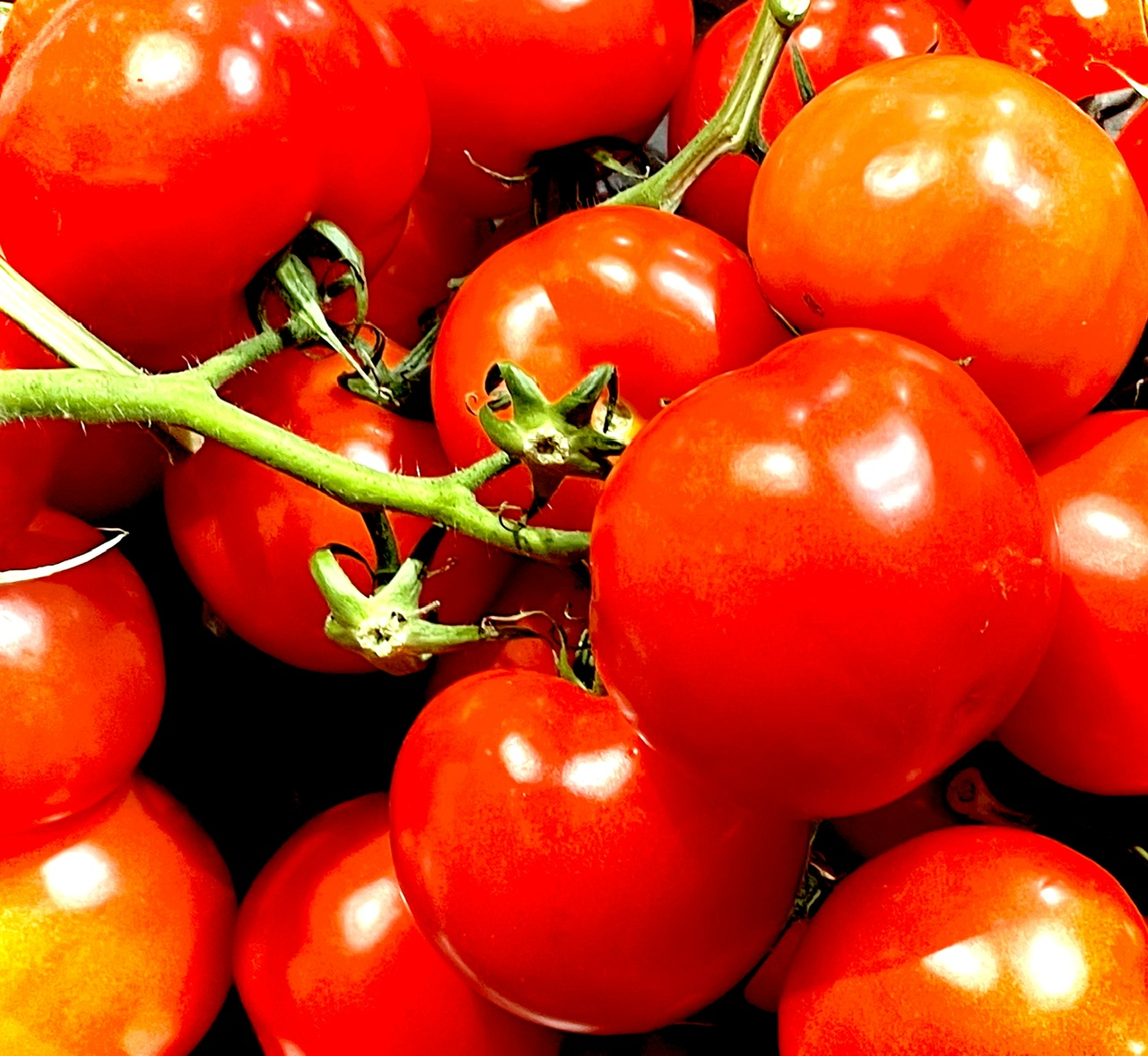 Tomaten