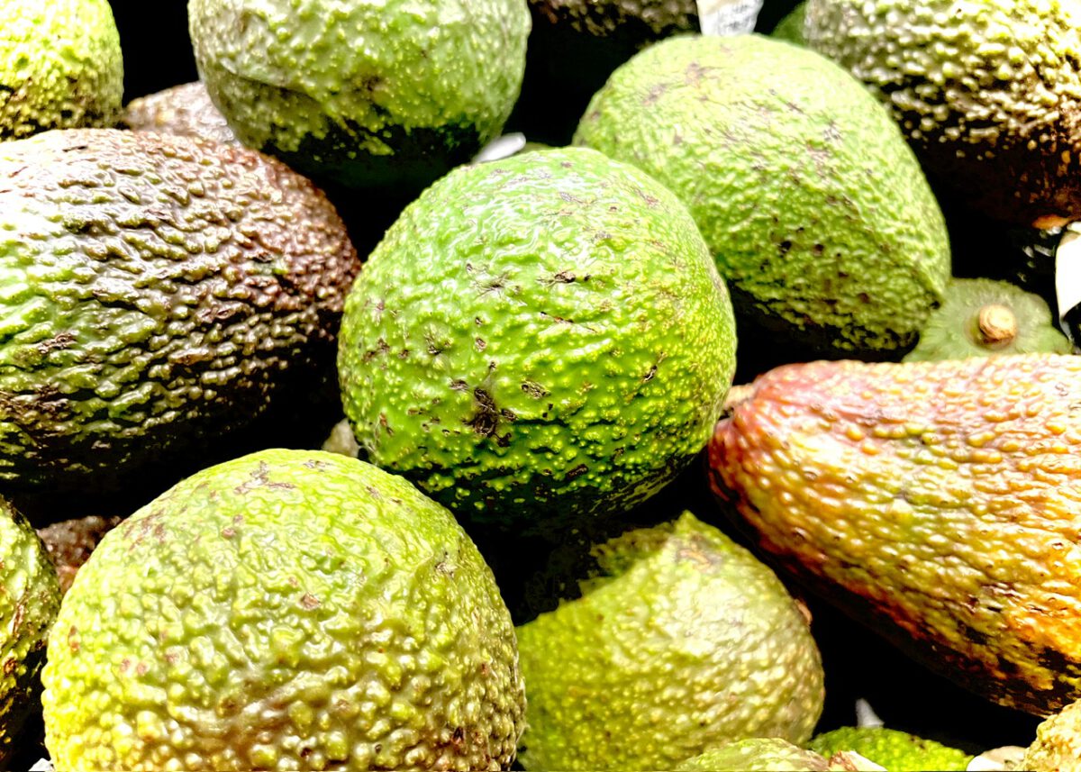 Avocados