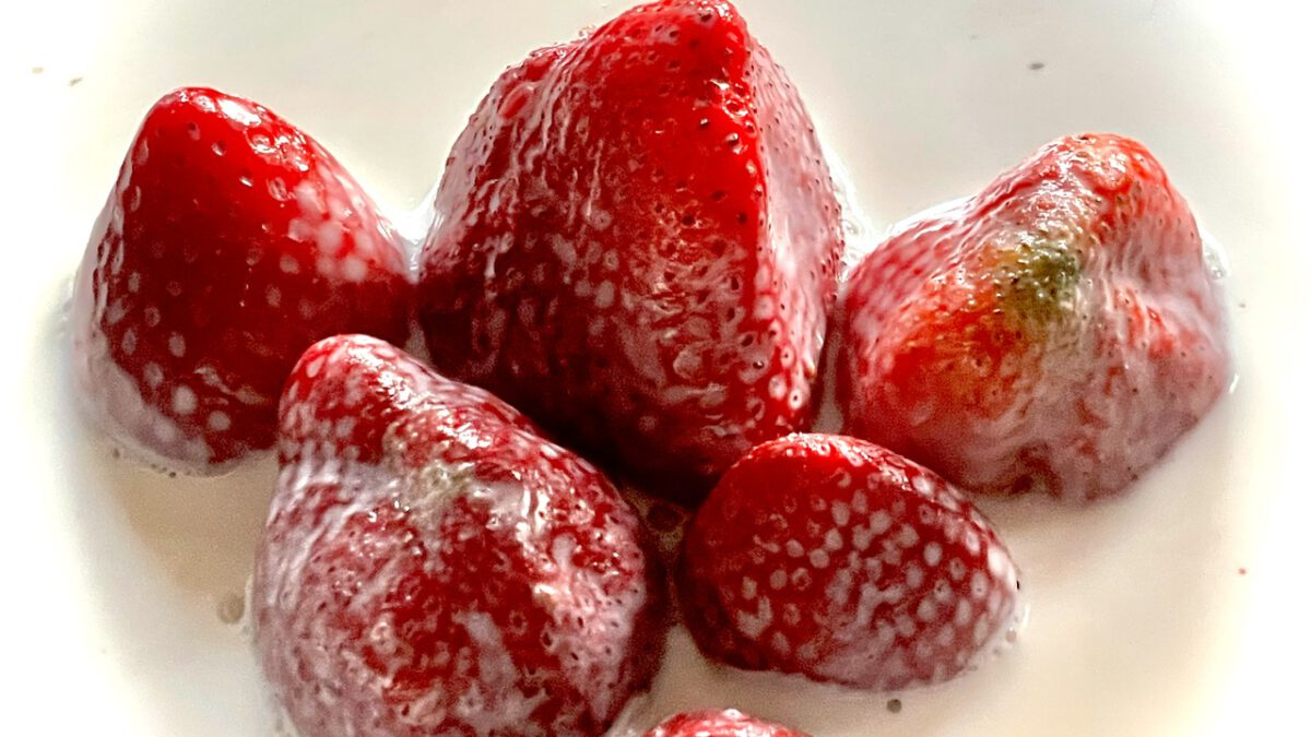 Erdbeeren