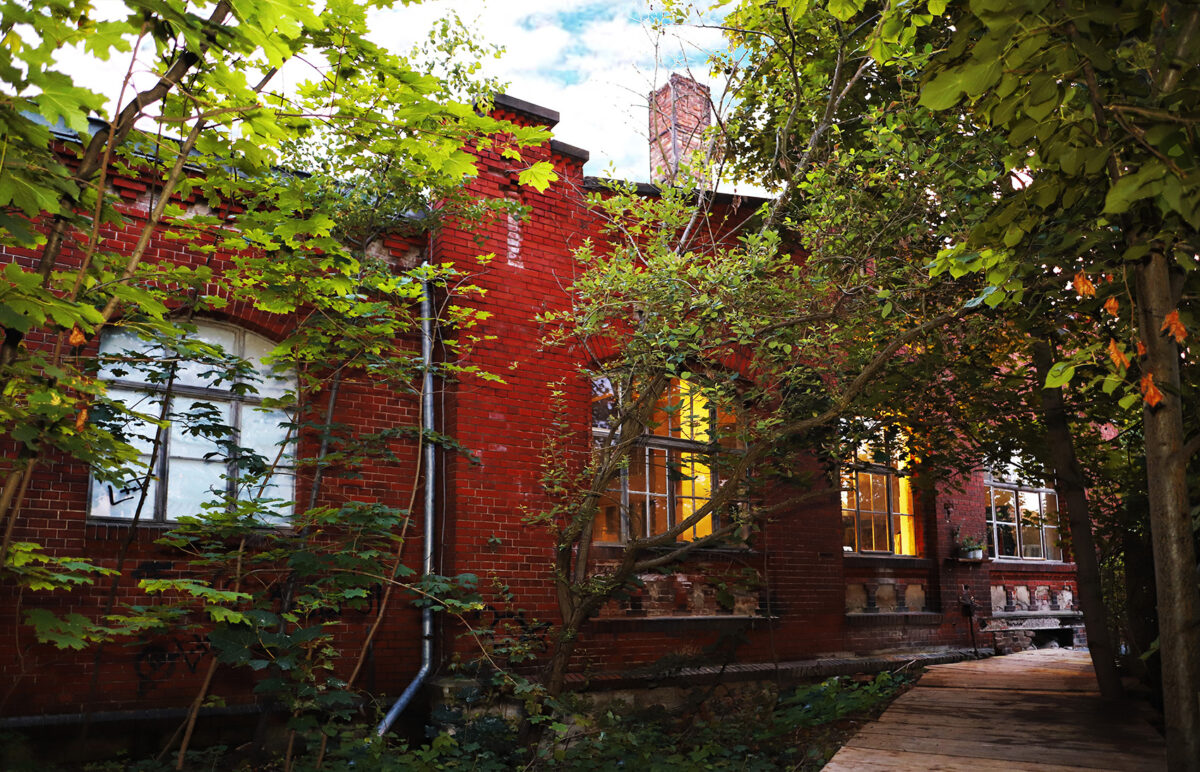 Blütenrepublik-CSC-Dresden - Photo: Der Haarflüsterer®